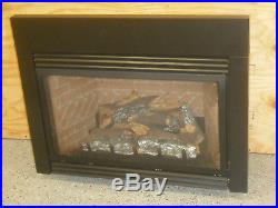 Empire Innsbrook Large Direct Vent Natural Gas Fireplace Insert DV35IN33LN-3