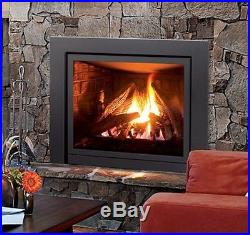 Enviro Q2 High Efficiency 24,000 BTU Natural Gas Propane Fireplace Insert Heater