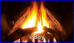 Enviro Q2 High Efficiency 24,000 BTU Natural Gas Propane Fireplace Insert Heater