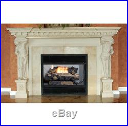 Fireplace Natural Gas Double Burner Logs Insert Heater Ventless Thermostat 24