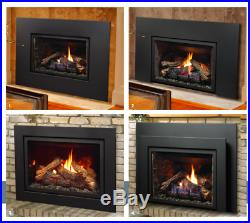 Kingsman IDV26 Direct Vent Gas Fireplace Insert Traditional Millivolt NG