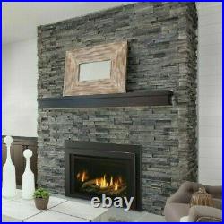 Majestic Ruby 25 Small Natural Gas Insert Fireplace RUBY25IL w Remote & Blower