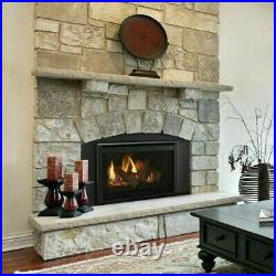 Majestic Ruby 25 Small Natural Gas Insert Fireplace RUBY25IN w Remote & Blower