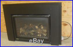 Montigo Large Direct Vent Natural Gas Fireplace Insert 34FID-S-F PICK UP ONLY