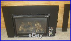 Montigo Large Direct Vent Natural Gas Fireplace Insert 34FID-S-F PICK UP ONLY