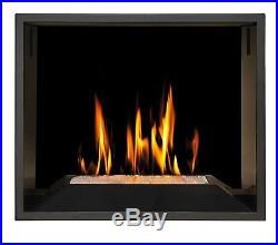NAPOLEON Model HD81NT See Thru Gas Fireplace Natural Gas or Propane MAKE OFFER