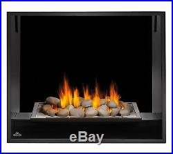 NAPOLEON Model HD81NT See Thru Gas Fireplace Natural Gas or Propane MAKE OFFER