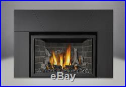 Napoleon CLOSEOUT Infrared IR3 Direct Vent Gas Insert Fireplace IR3N-1SB SALE