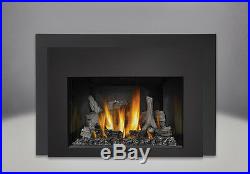Napoleon CLOSEOUT Infrared IR3 Direct Vent Gas Insert Fireplace IR3N-1SB SALE
