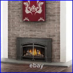 Napoleon Direct Vent Gas Fireplace GDI-30NSB