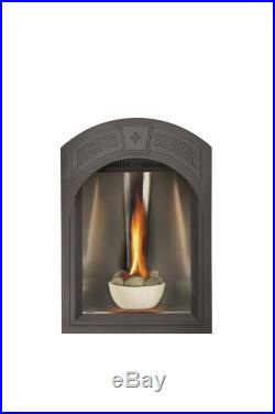 Napoleon GD82NT-TESB Tureen Direct Vent Gas Fireplaces