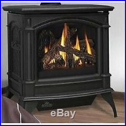 Napoleon GDS60-1N Fireplace Natural Gas Stove Direct Vent 35000 BTU Painted