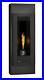 Napoleon_GT8NSB_Torch_Direct_Vent_Gas_Fireplaces_01_nsz