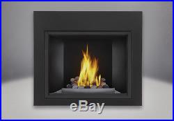 Napoleon HDX40 Clean Face Modern High Definition Direct Vent Gas Fireplace LP NG