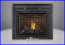 Napoleon HDX40 Clean Face Modern High Definition Direct Vent Gas Fireplace LP NG