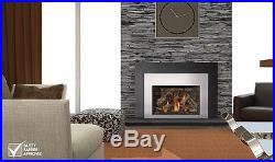 Napoleon Infrared X4 GAS Fireplace INSERT FREE SHIPPING