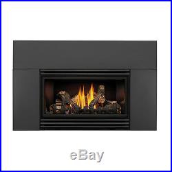 Napoleon Roxbury 30 GDI30N GAS Fireplace INSERT PACKAGE DEAL FREE SHIPPING
