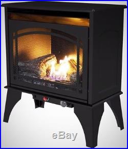 Pleasant Hearth 23.5 In. 20,000 BTU Compact Dual Fuel Gas Stove Overheat Safety