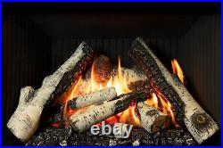Valor 700 G3.5 Gas Fireplace SALE