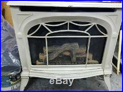 Vermont Castings Direct Vent Radiance Gas Stove